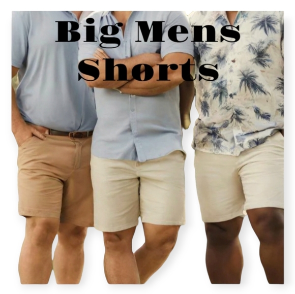 Big Mens Shorts - Picture 1 of 3